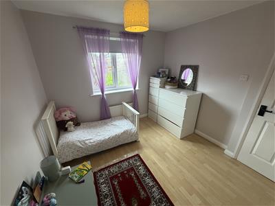 Picture 13